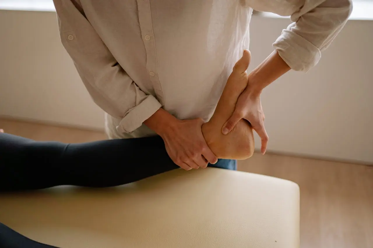 What are the ligaments of the knee and their functions?