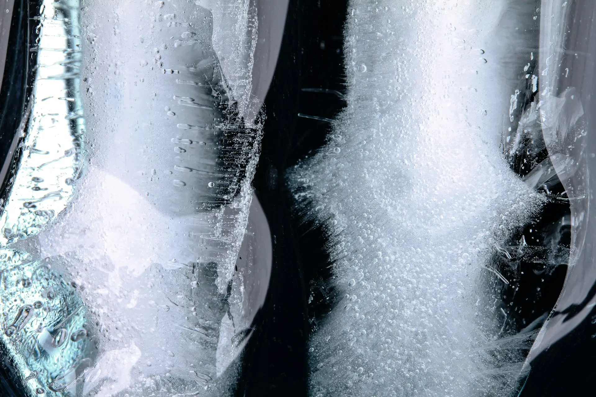 What is the meniscus?