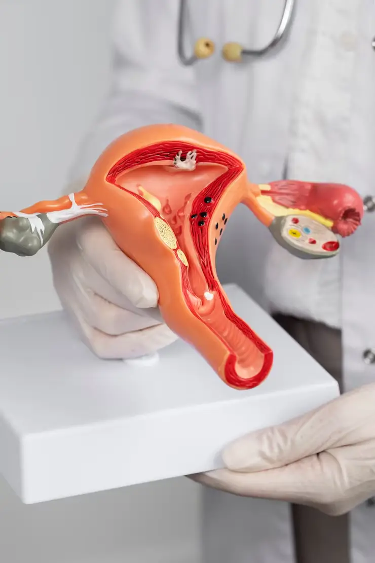 urology.operation-expect